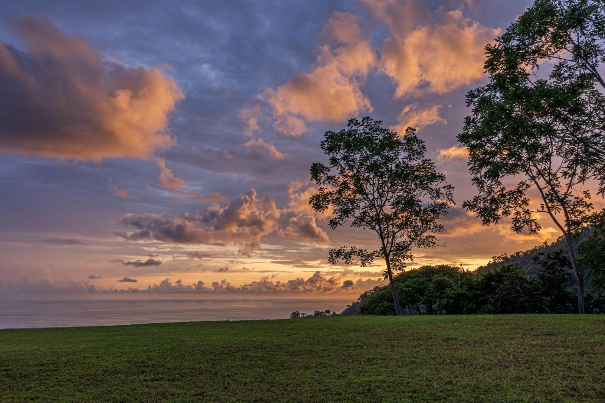 The Garden Villas By Vista Celestial Uvita Exteriör bild